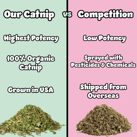 Create Your Own Purr Pack!