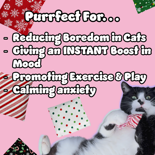 3 Pack Catnip Purr Pouches