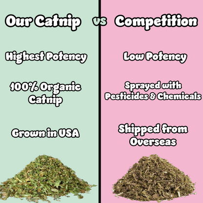 5 Pack Catnip Catmas Purr Pouches